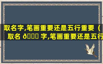 取名字,笔画重要还是五行重要（取名 🕊 字,笔画重要还是五行 🐕 重要一点）